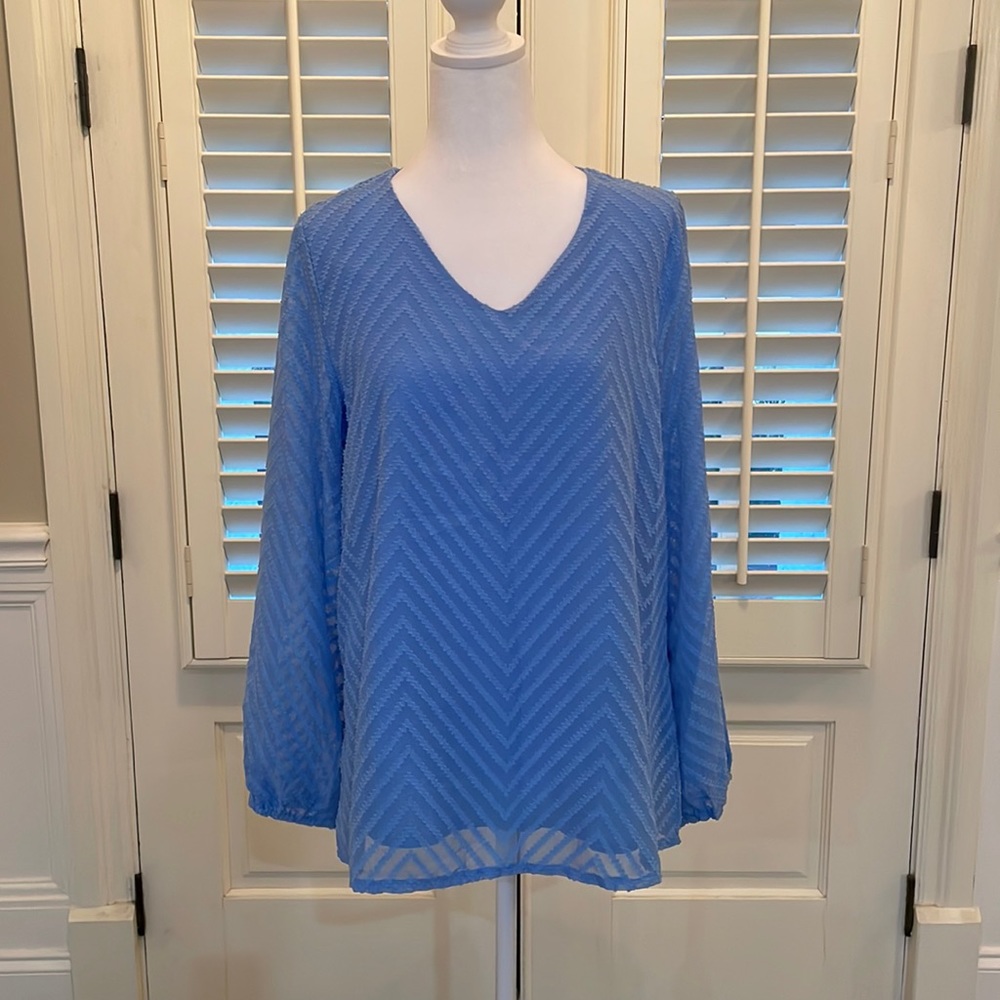 Womens top. NWT. Baby blue color. Lined